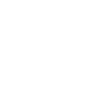 primary_logo_icon_white